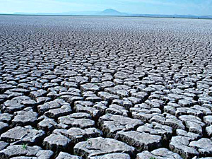 Сегодня Всемирный день борьбы с опустыниванием и засухой. 